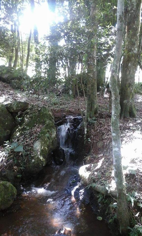 فندق Campo Grande في  Camping Caitano المظهر الخارجي الصورة